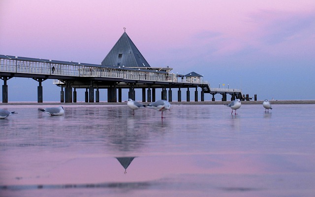 heringsdorf pier 3082739 640