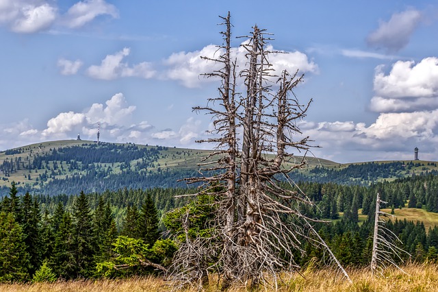 feldberg 4540673 640